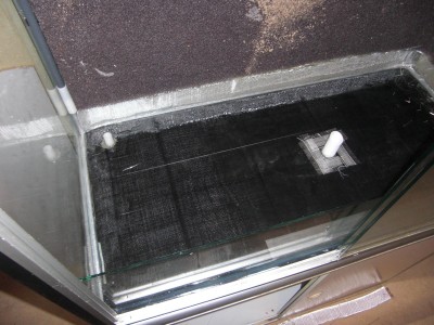 CIMG1279_001.JPG
