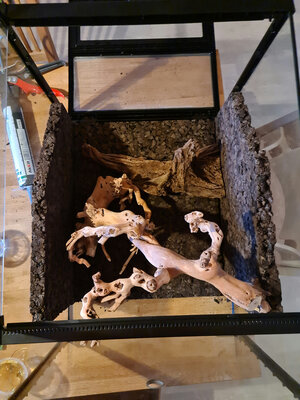 20231007_180518.jpg