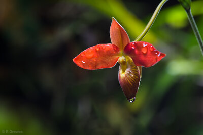 _IMG8820.jpg