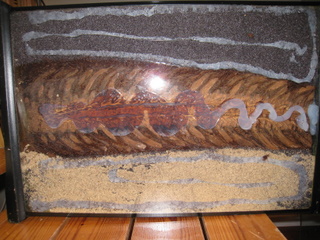 baksida
